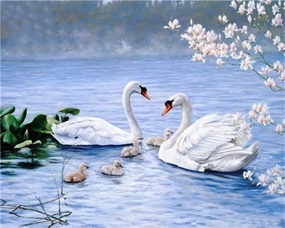 HUACAN Лебедь животное самодельные картины по номерам картина маслом комплекты номеров холст для рисования домашний декор ручной работы подарок - Цвет: SZHC1-145