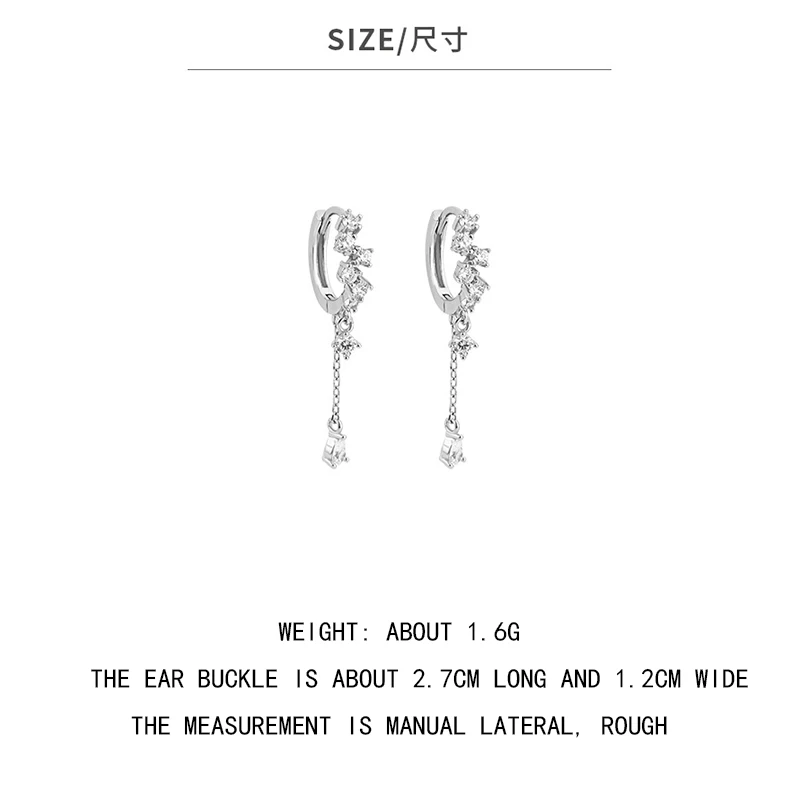 

925 Sterling Silver Pin Zircon Tassel Super Flash Luxury Super Fairy Crystal Long Style Temperament Show Face Thin Earrings