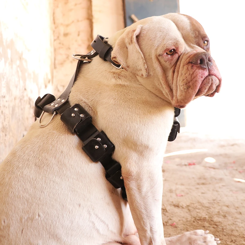 Кожаная шлейка для собак большая силовых тренировок лучшая американских