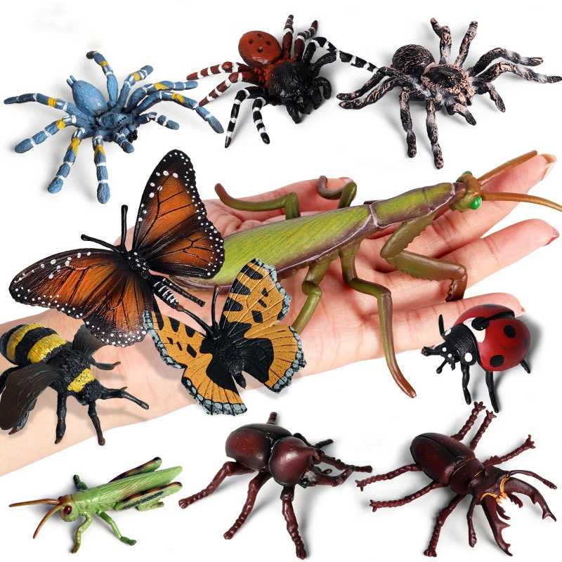 

Insect Animals Model Butterfly Grasshopper Spider Action Figures Mantis Figurine Bee Miniature Educational Toys For Kids