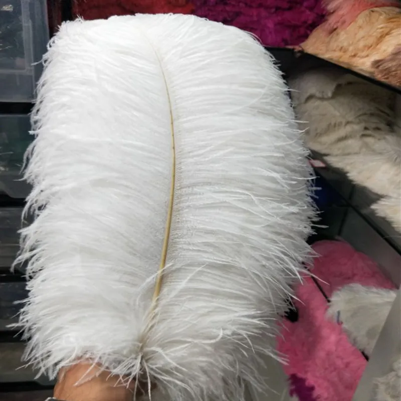 white ostrich feather 40-45 cm / 16 to 18 inches 200pcs ostrich plumage artware performing wedding decoration