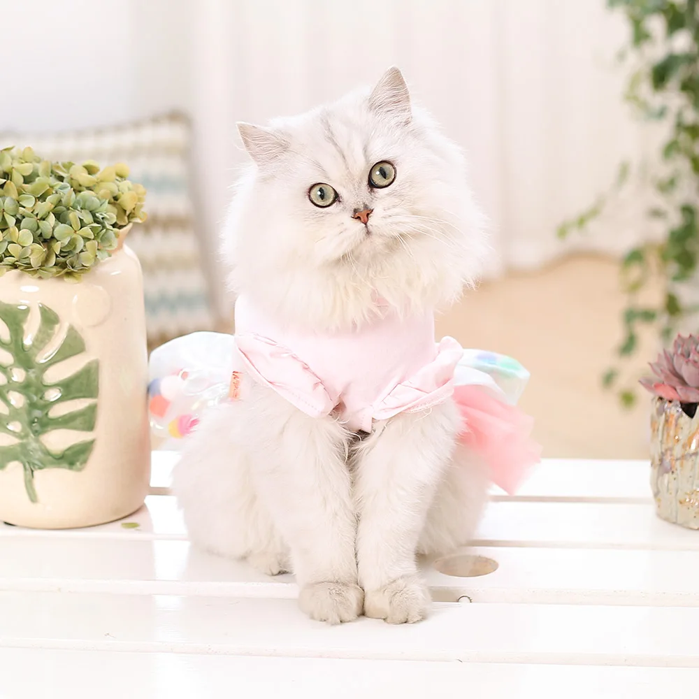 Ветрозащитный Свадебные платья с изображением кота костюм Одежда для домашнего