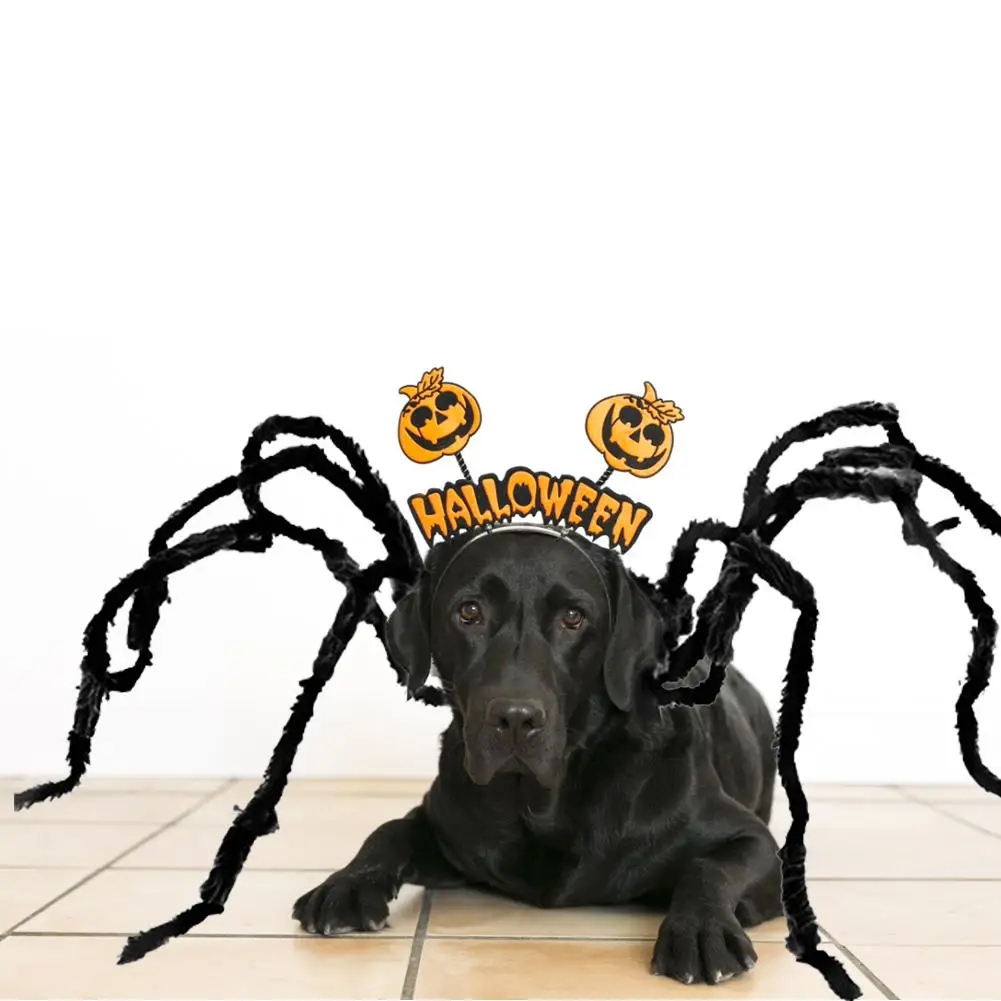 Забавная Одежда для собак костюм паука питомцев на Хэллоуин черный Забавный