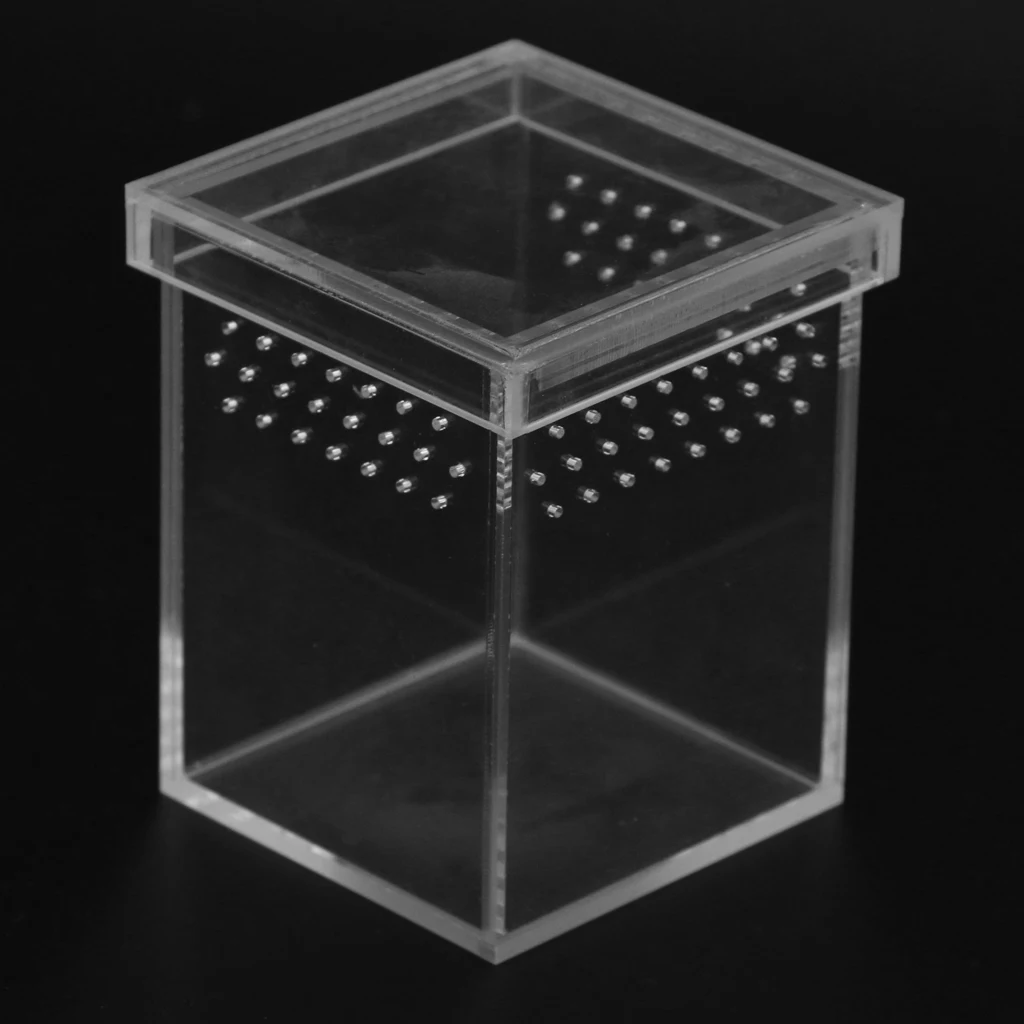

Spider Box Reptile Breeding House Pet Feeding Container for Lizard Snake