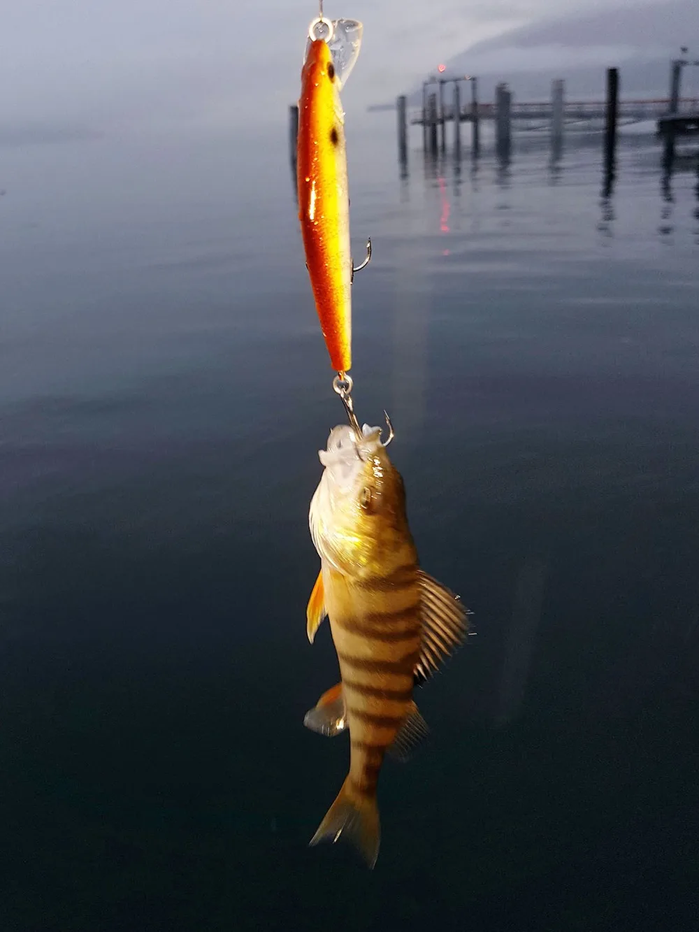 Afishlure 66 мм/8 г Гольян приманки тонущие жесткие приманки Iscas искусственные Pesca Leurre Dur Peche приманка для рыбалки ABS жесткая приманка D-Minnow