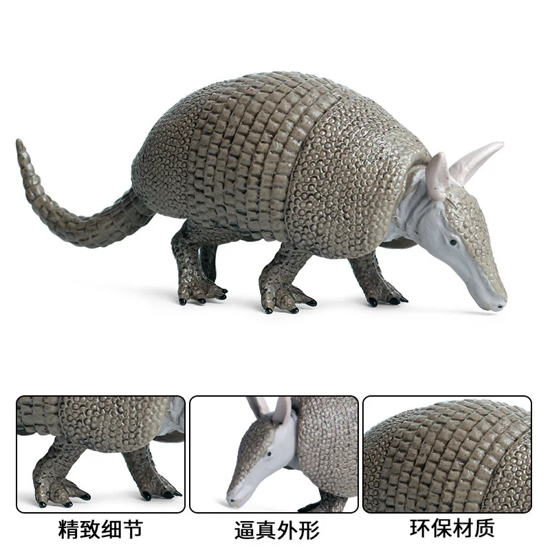 Однотонная модель Armadillo экшн-фигурки диких животных коллекционные ПВХ детские