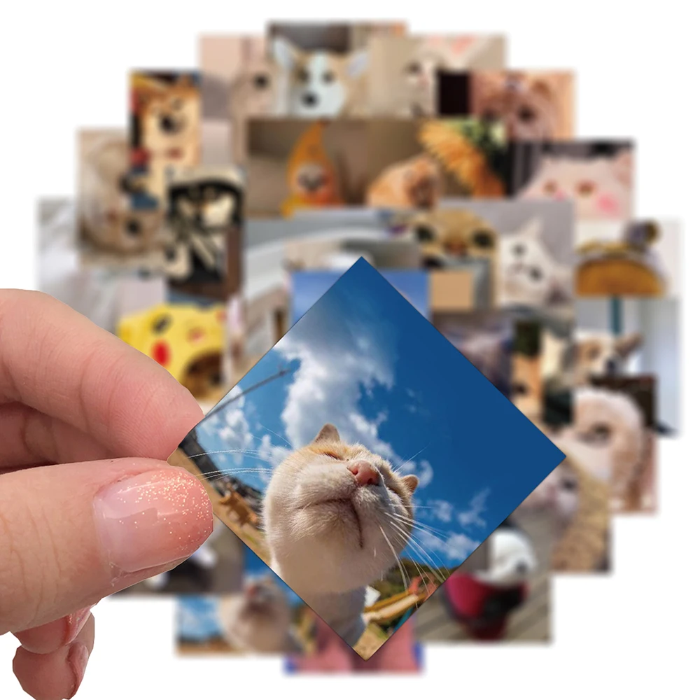 103048pcs cute cat dog expression meme stickers laptop guitar luggage phone waterproof graffiti sticker decal kid classic toys free global shipping