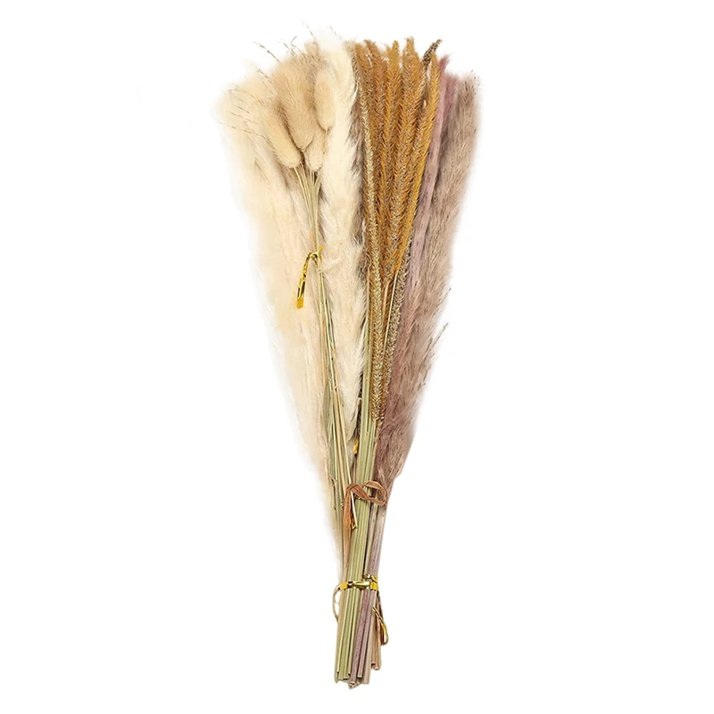 

65 Pcs Pampas Grass,Large Fluffy Artificial Pampas Grass Decor Tall,Non Shedding Boho Natural Dried Grass For Wedding