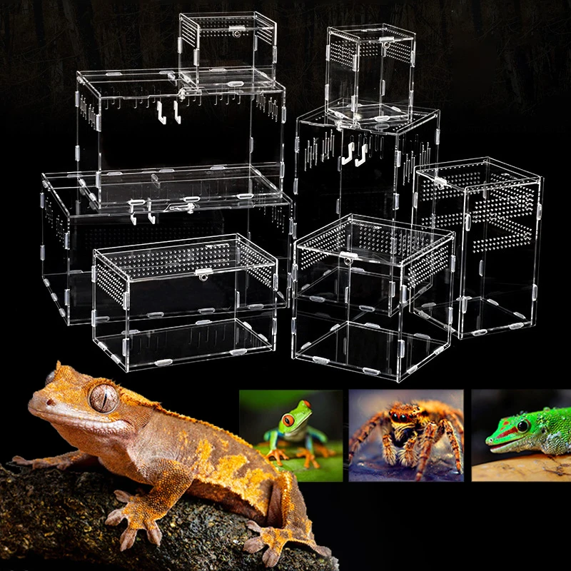 Caja de cría de reptiles acrílica, transparente, Araña, lagarto, escorpión, Enti, insectos ensamblados, terrario transpirable