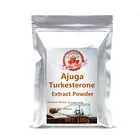 Поставка Туркестанского экстракта Ajuga 10% туркестерона порошок ur sugar face glitter Herb Agaricus Бесплатная доставка