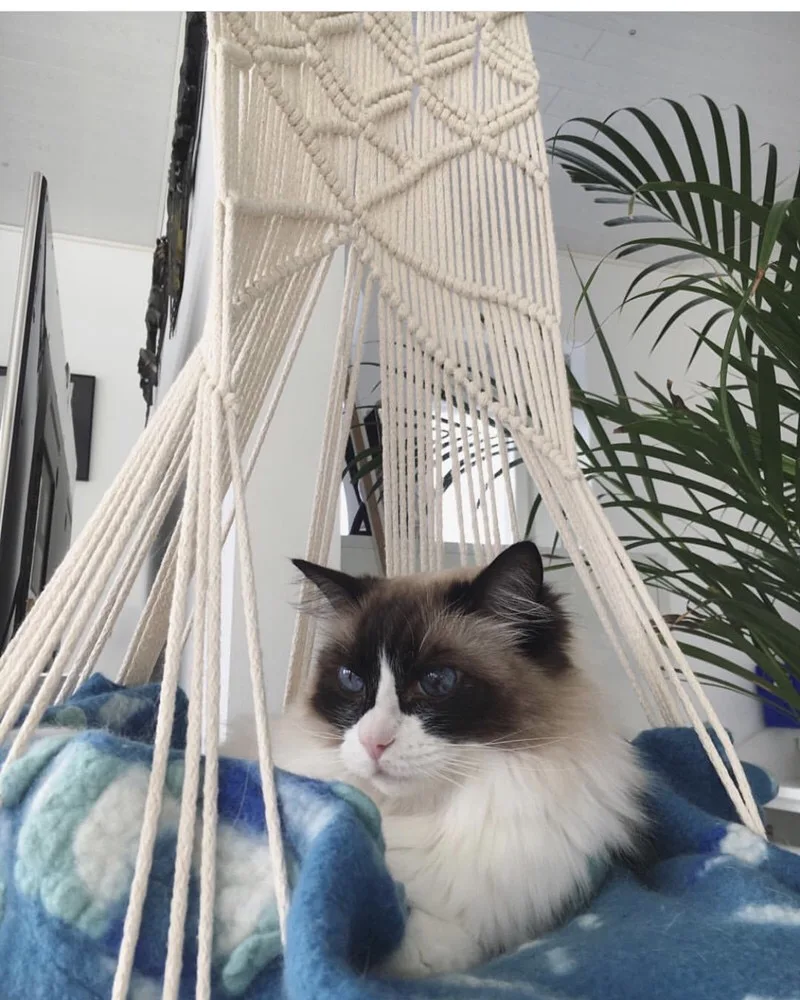 Boho Стиль милое животное подвесные кровати сиденье ручной работы крепление кошка