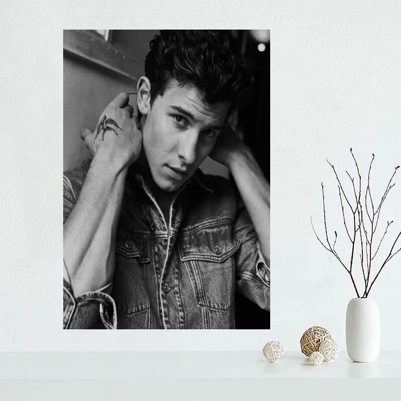 Изготовленный На Заказ Shawn Mendes художественный плакат на холсте ткань постер