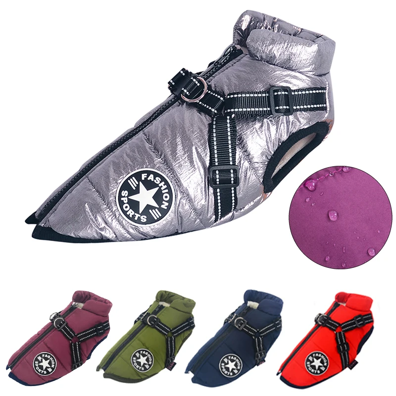 

Pet Products