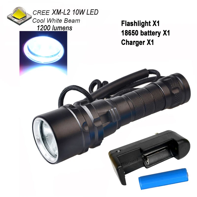 TOPCOM Профессиональный Дайвинг фонарик CREE L2 или XML T6 светодиодный прожектор 100 м 18650 Дайвинг фонарик - Испускаемый цвет: Option D