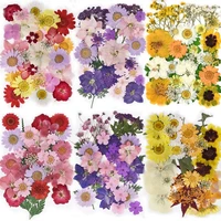 diy dried flower resin fillings real flower for home decoration nail art handicrafts jewelry casting mold making resin crafts