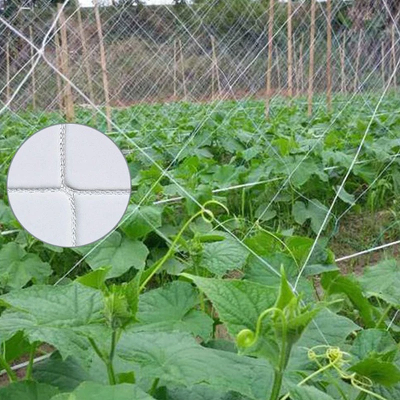 

5/10M Plant Trellis Netting Heavy-Duty Polyester Plant Support Vine Climbing Hydroponics Garden Net Accessories Multi Use