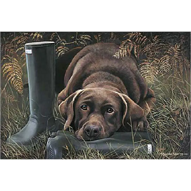 DIY 5d алмазная вышивка крестиком Гончие и резиновые сапоги украшение Алмазная