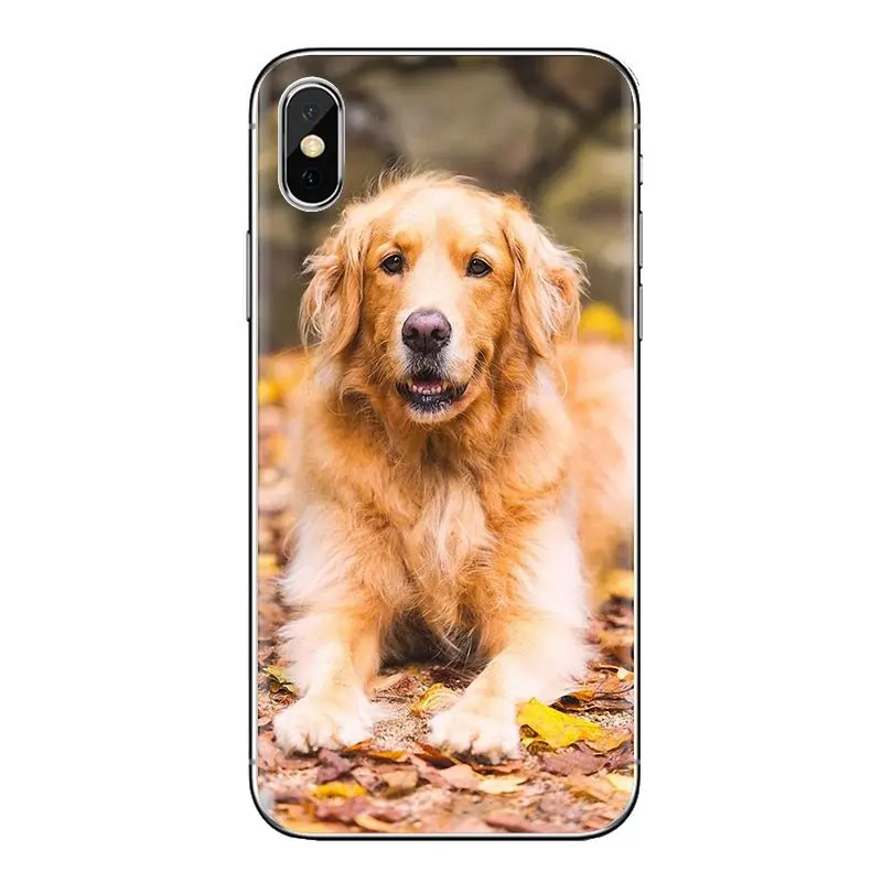 Soft TPU Phone Case Animals Golden Retriever Dog Pet For Huawei Honor 5A LYO-L21 Y6 II Compact Y5 2 Y5II Mate 10 Lite Nova 2i 9i |