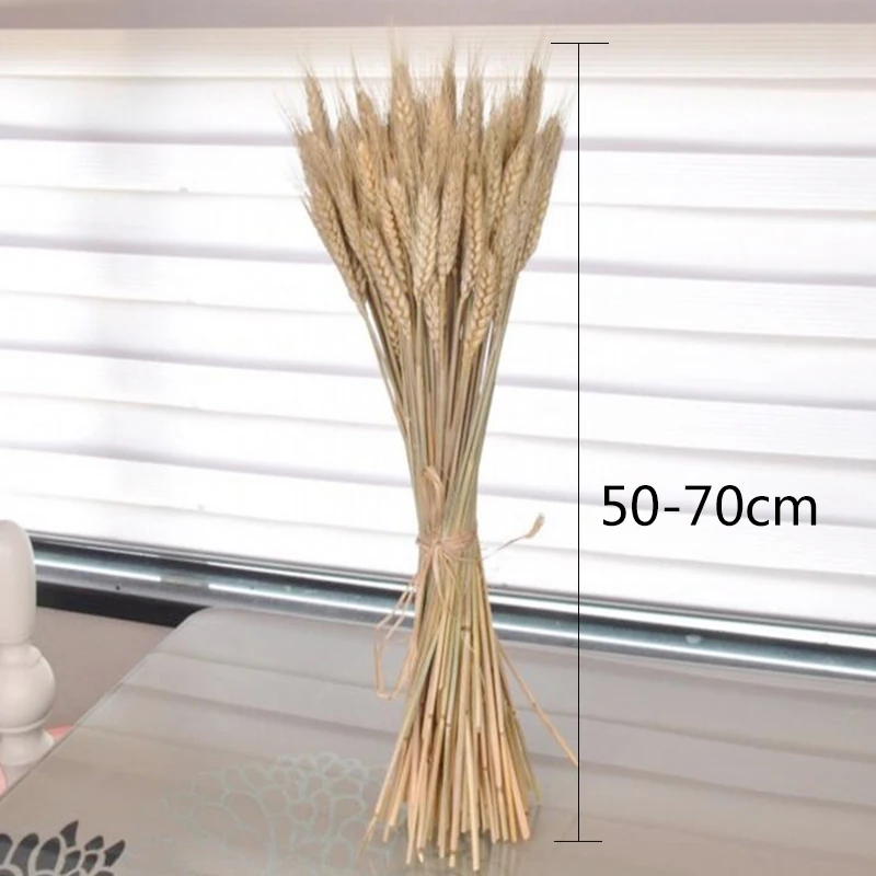 50 шт./лот реальные пшеницы цветок уха натуральные сухие цветы для Свадебная