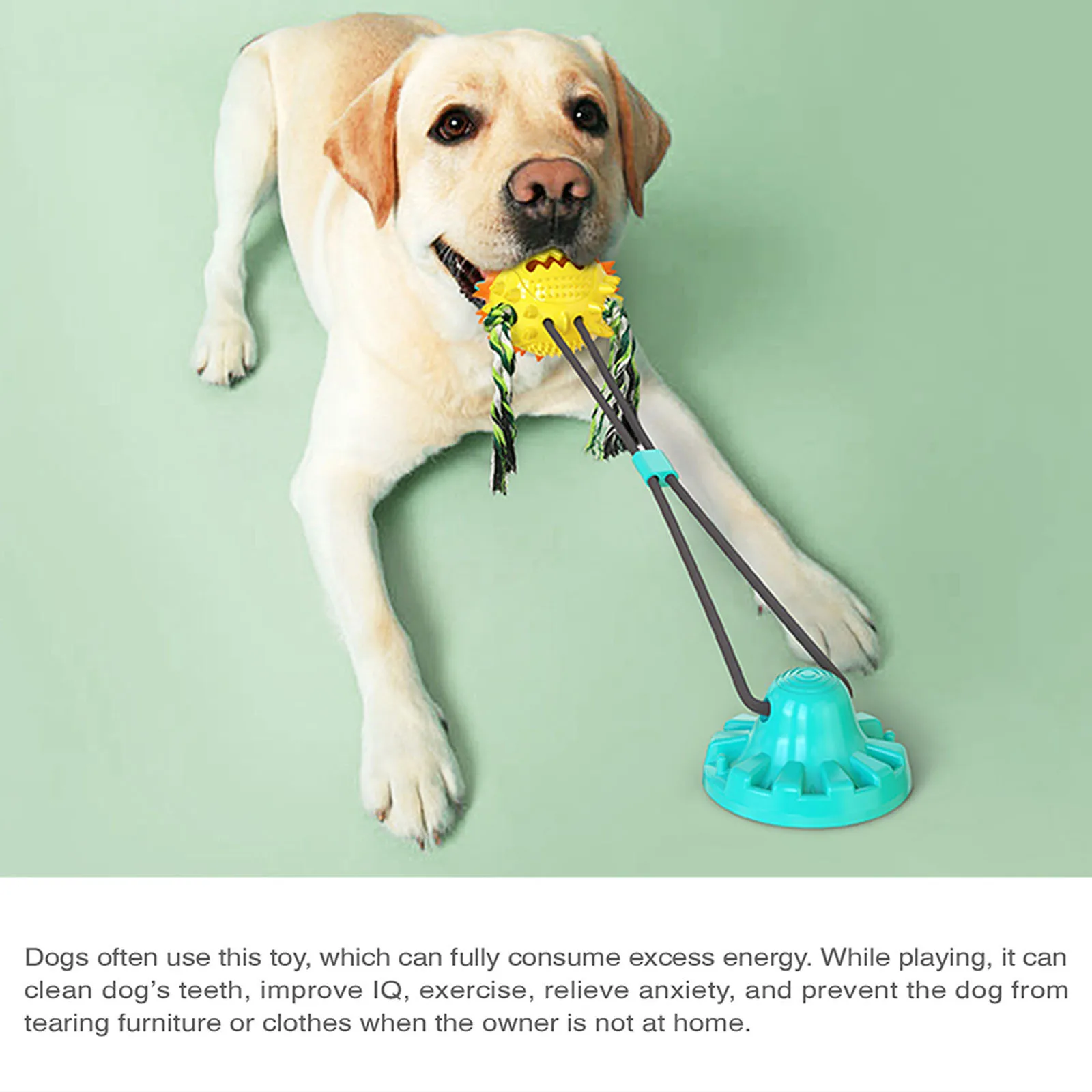 

Dog Rope Ball Pull Toy with Suction Cup Chew Tug Toys Sucker Ball Can Leakage food Dog Toothbrush Teether for Multifunctional