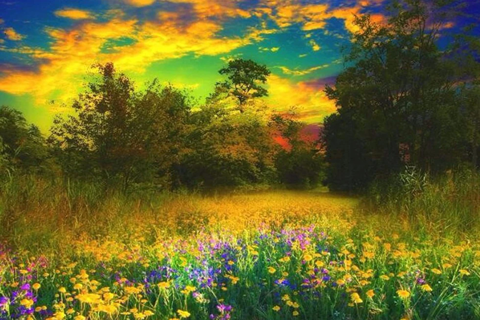 

A25746 butterfly flower Product Egypt Long-staple Cotton Self-Made No Needlecross stitch kits Van Gogh Wheat Field