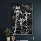 Жирафы с солнцезащитными очками, забавные художественные картины на холсте, плакаты и принты с черно-белыми животными, настенные художественные картины для домашнего декора