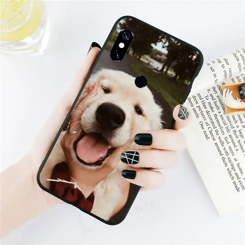 

Golden retriever dog cute animal high quality Phone Case cover For Xiaomi Redmi note 7 8 9 t k30 max3 9 s 10 pro lite