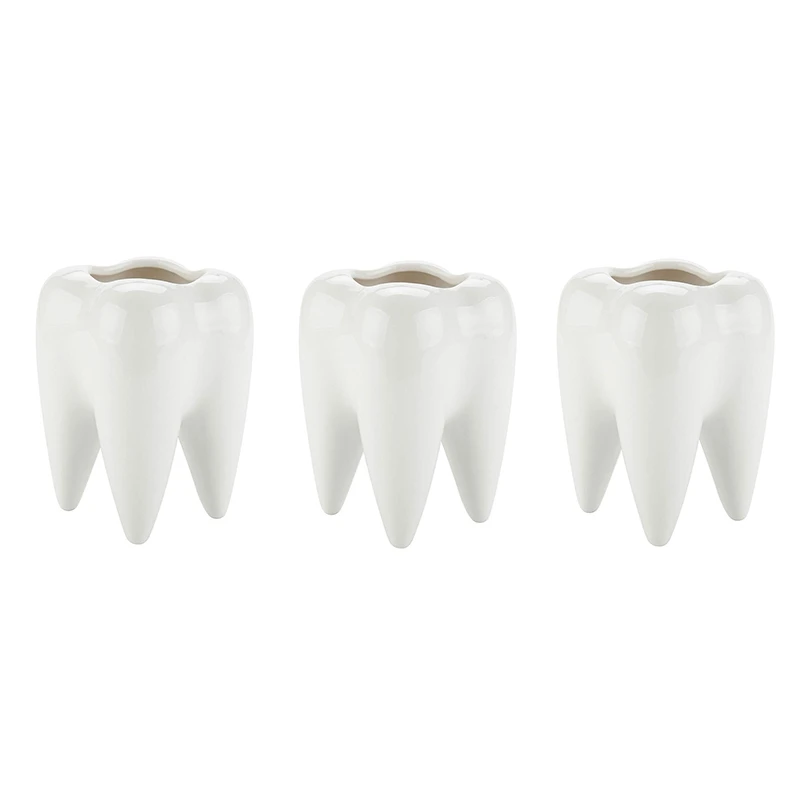 Милый держатель карандаша в форме зуба белая керамическая суккулентная