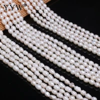 cultured rice freshwater pearl beads ellipse for diy or handmade jewerly white beads size about 5 6mm sold by strand