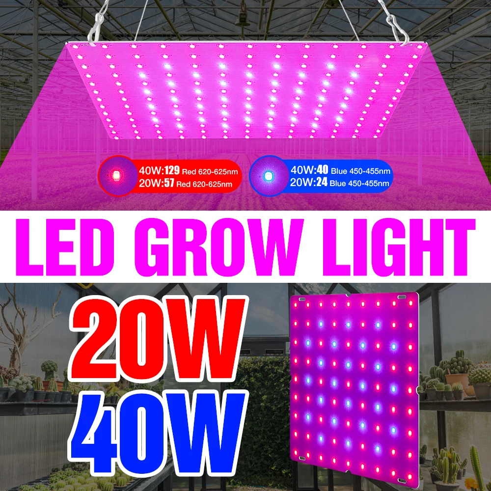 

Indoor Phyto Lamp 20W 40W Led Grow Light LED Growing Tent Full Spectrum For Hydroponics Plants Seed Flower Lampe EU US UK Plug