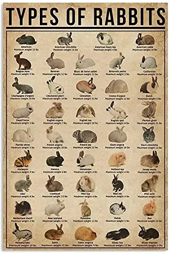Кролики знания Ретро металлический жестяной знак Тип кроликов Печать плакат для