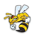 14.2CM14.3CM прекрасный с узором Angry Шершни Цветной ПВХ автомобиля Стикеры графическое украшение C1-5155