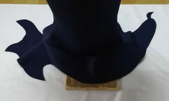 

Costumes & Accessories