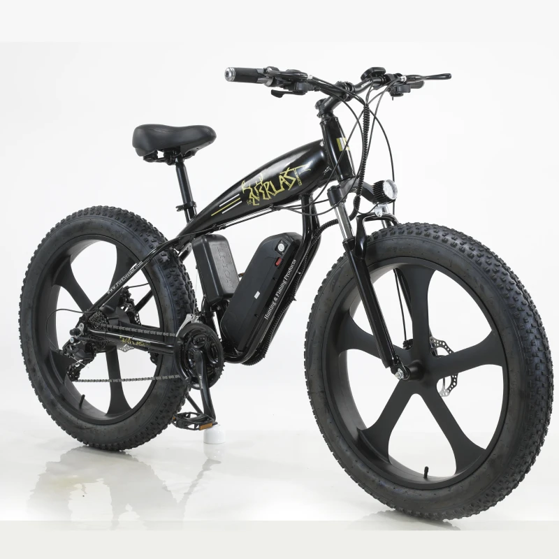 Verkaufen 26 Zoll Elektrische Fahrrad 1000W Schnee Strand Mountainbike Fett Reifen 4,0 Power E Bike Erwachsene