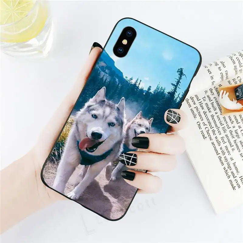 

Funny husky animal dog Phone Case for iPhone 11 12 pro XS MAX 8 7 6 6S Plus X 5S SE 2020 XR