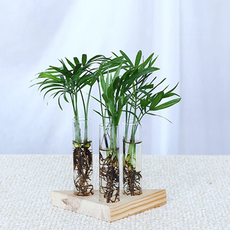 Ваза для цветов стеклянные трубки прозрачный стеклянный цветочный горшок с