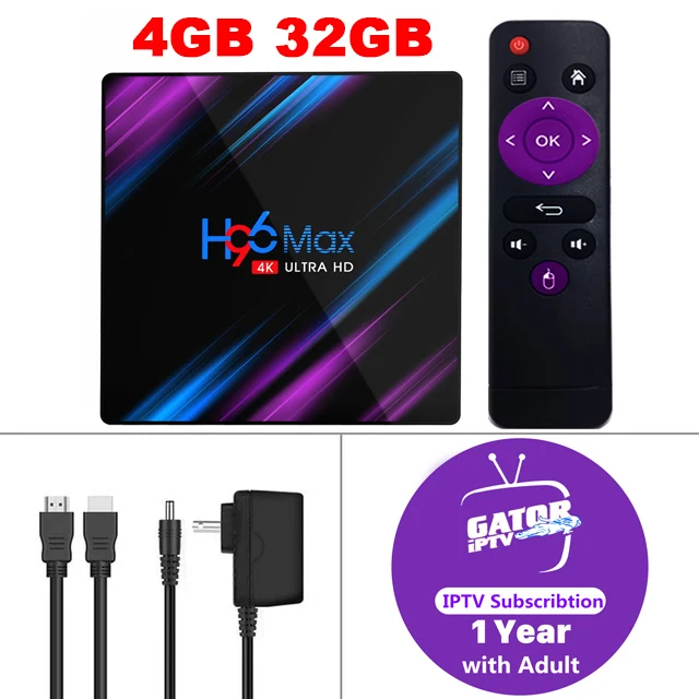 H96 Max Smart tv Box+ 1 год Gator IP tv код Android9.0 телеприставка 2,4G& 5Ghz Wifi 4K HDR французский Arbic UK медиаплеер IPTV коробки - Цвет: 4G32G(1 Year IPTV)