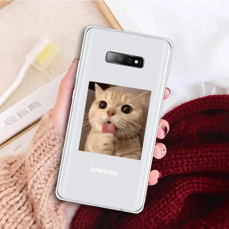 

Cute cat funny Phone Case Transparent for samsung A 21s 50 51 71 S 8 9 20 20fe note 10 20 ultra plus
