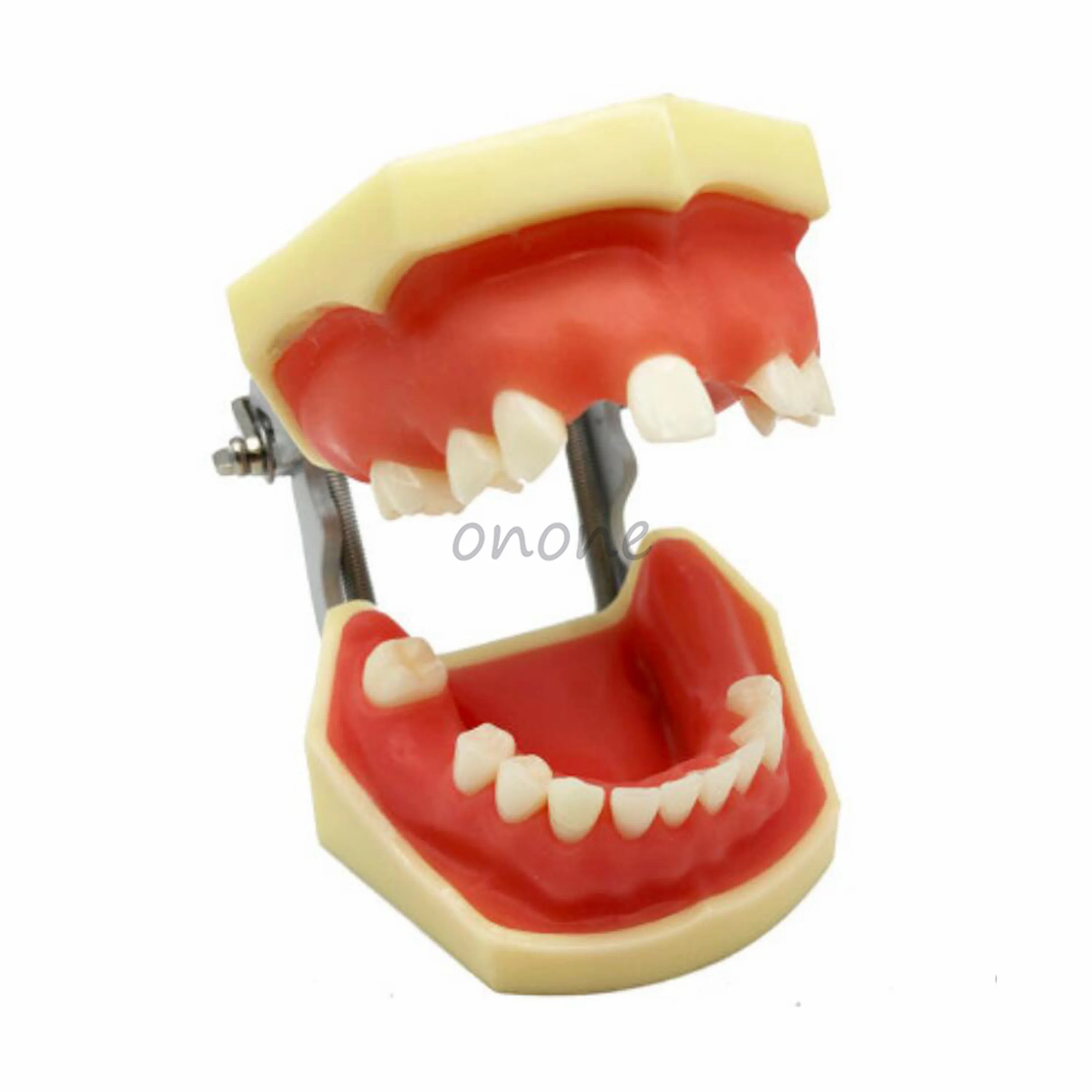 1pcs Maxillary Sinus Lifting Exercise Model Mandibular Implant Practice Incision and Suture Teeth Model