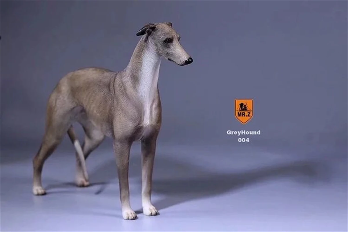 Mr.z 1/6 Greyhound Whippet Pet Dog Figure Animal Model Trinkets Desktop Decor Ornaments Toy for Children Adult Kids GK Xmas Gift |