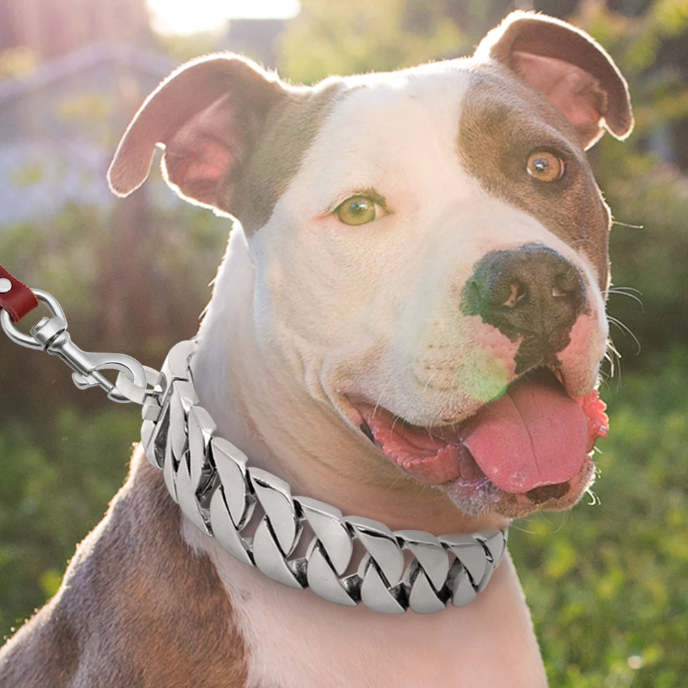 

Strong Metal Dog Chain Collars Stainless Steel Pet Training Choke Collar For Large Dogs Pitbull Bulldog Silver Gold Show Collar