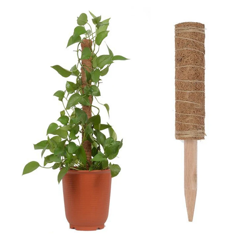 1 шт. домашний Поддержка Можно носить в тотемного столба из вьющихся растений