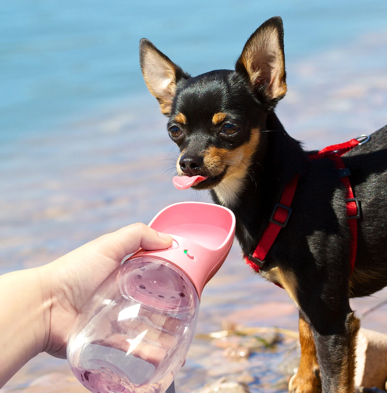 

Portable Pets Bowl Drinking Cup Bowl Dog Cat Water Bottle Travel Outdoor Dispenser Feeder Puppy Multifunction Drop Ship