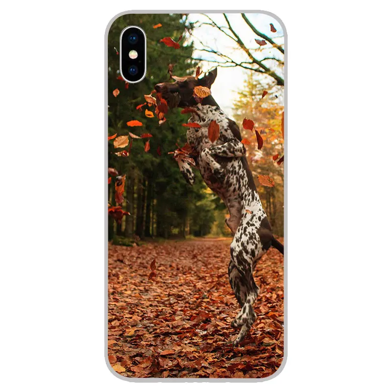 Pointer собачий силиконовый мягкий ТПУ чехол для iPhone 11 Pro XS Max X XR 8 7 6S Plus 5s SE 4S |