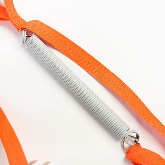 Прыгунки №3 2в1 Пес 4970974 | Мать и ребенок