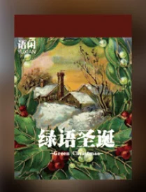 

Набор наклеек Аlideco Рождественская серия 30 шт