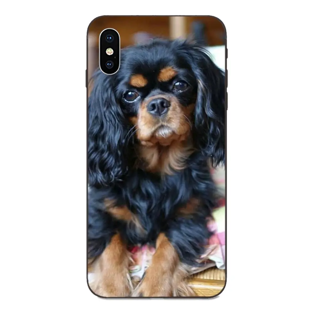 Кавалер король Шарль спаниель собака для Apple iPhone 4 4S 5 5S SE 6 6S 7 8 11 Plus X XS Max XR Pro мягкий