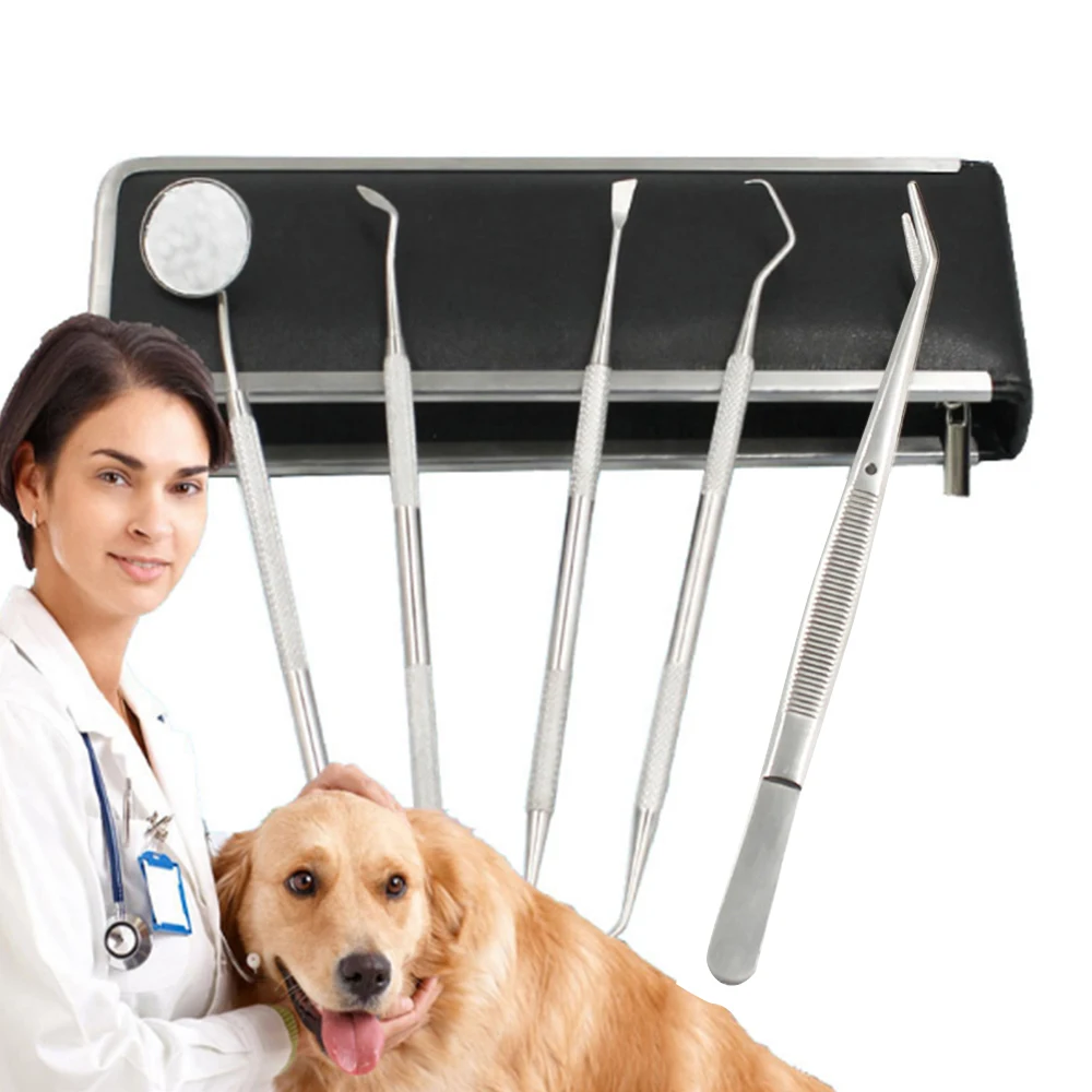 Set Pet Tartar Remover Scaling Tools With Bag Beauty Tooth Cleaning Dental Tool For Dog Health Supplies | Дом и сад
