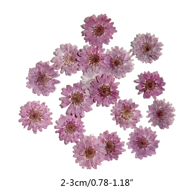 

120 Pcs Dried Flowers Purple Chrysanthemum UV Resin Decorative Natural Flower Stickers Epoxy Mold 3D Dry Beauty Decal