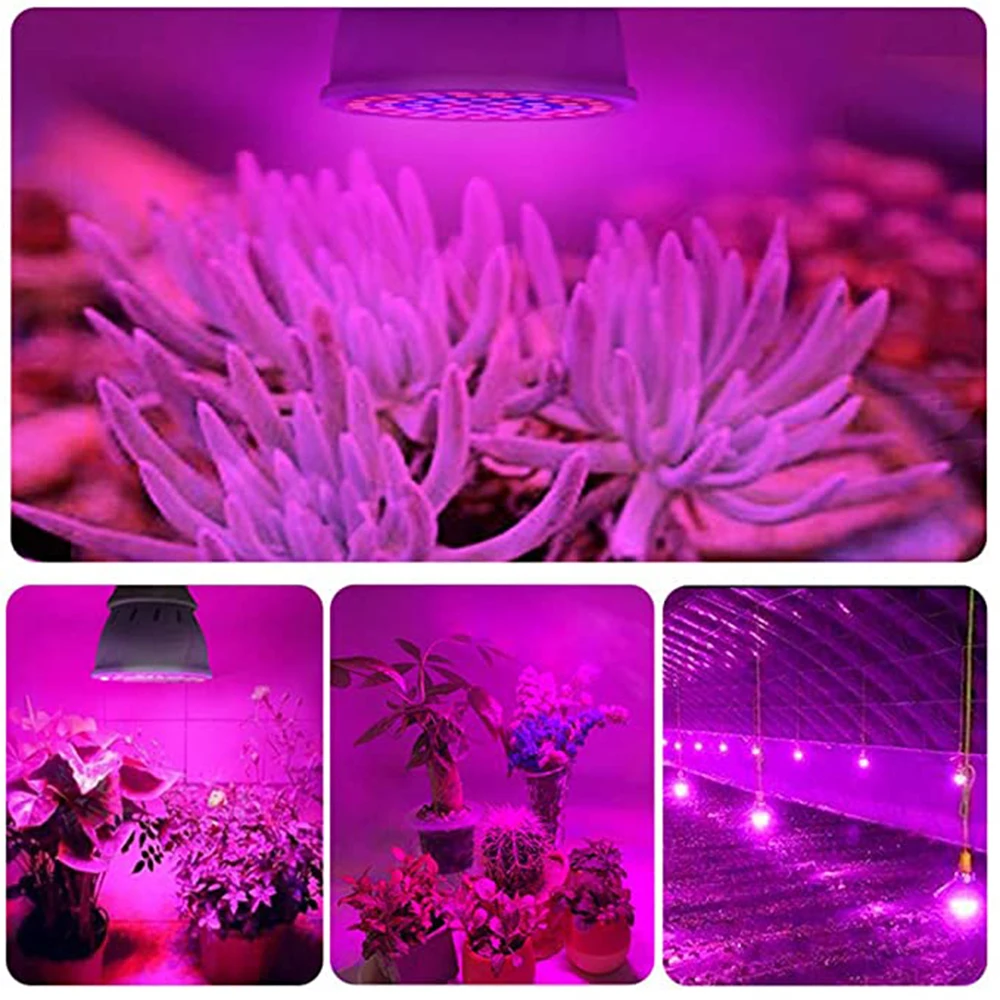 

Plant Full Spectrum LED Grow Light E27 Plant Lamp Fitolamp For Indoor Seedlings Flower Fitolampy Tent Box